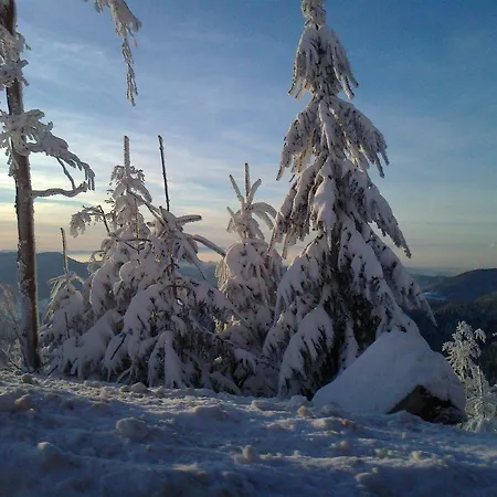 Black Forest Holzwalder Hohe * Bad Rippoldsau-Schapbach