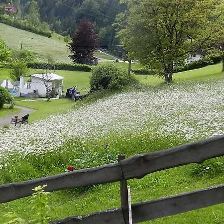 Hostel Black Forest Holzwalder Hohe